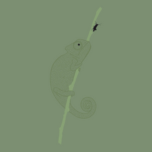 Load image into Gallery viewer, Okimono Karma Chameleon Kameleon T-shirt Close-Up