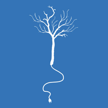 Load image into Gallery viewer, Okimono Recharge Them Woods Blue Design Close-Up