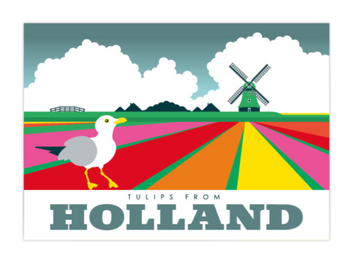 Postcard Holland Tulipfields Windmill Keukenhof Holland Sky Seagull